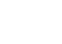 The Bearded Ladies Consulting typographic logo
